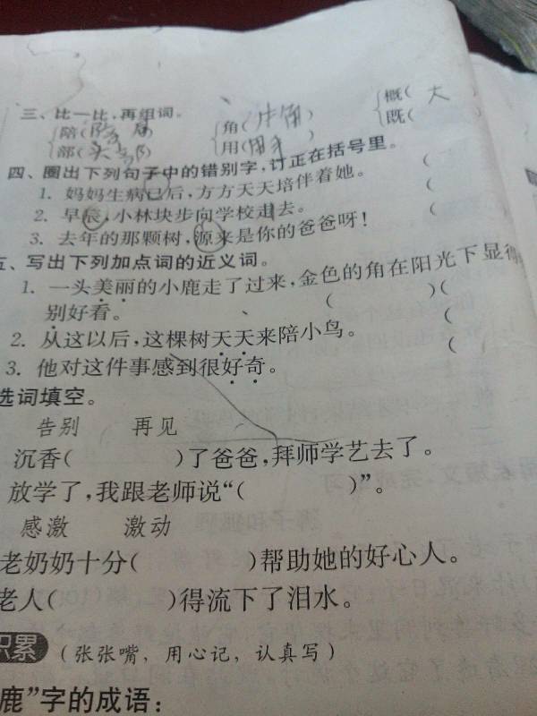 迪組詞語(迪組詞兩個字)