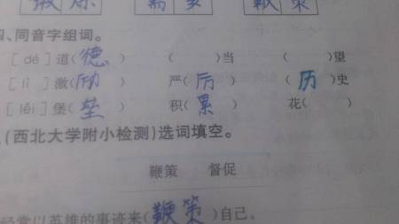 能的組詞(能的組詞有哪些)