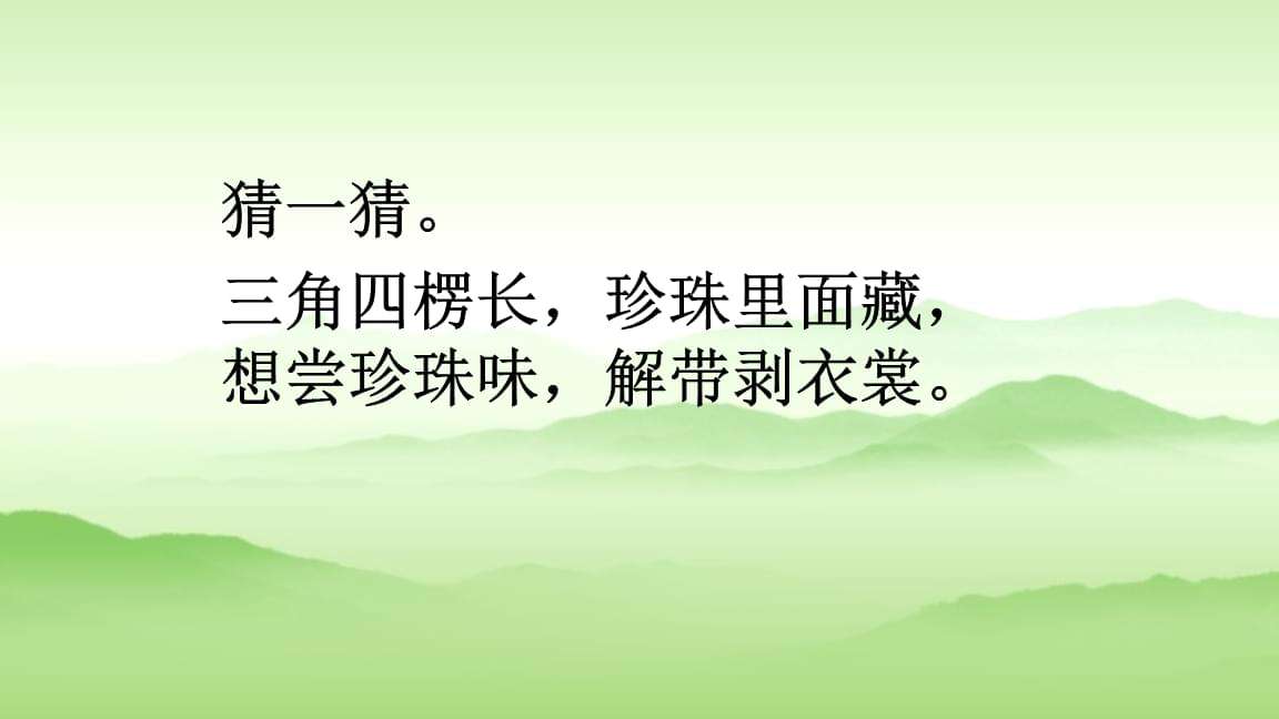 粽字組詞(粽可以組什么詞)