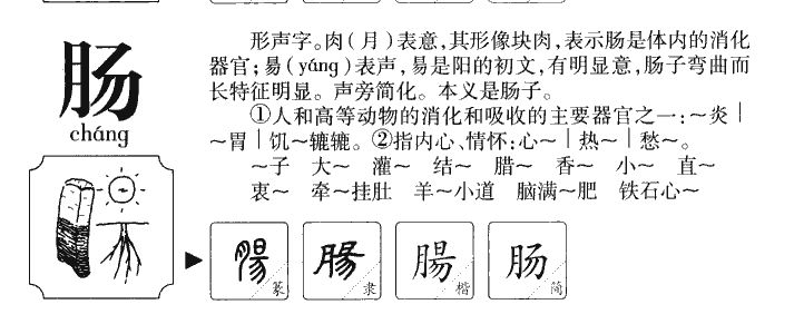 肉字組詞(肉的四字詞語)