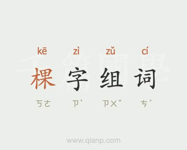 迅字組詞(迅組詞有哪些詞語)