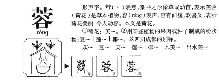 桂的組詞(桂組詞二年級上冊)