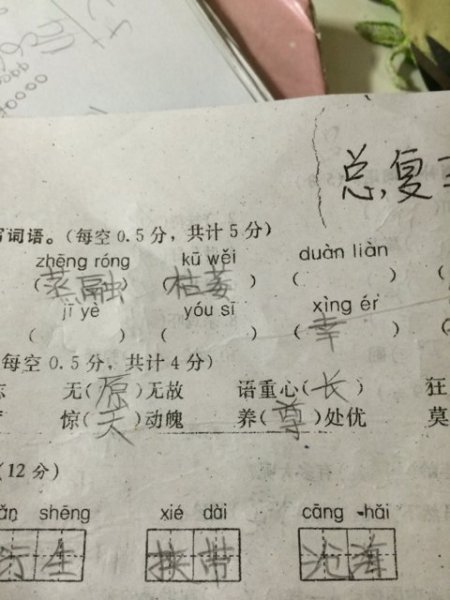 吃的組詞(吃組詞一年級)