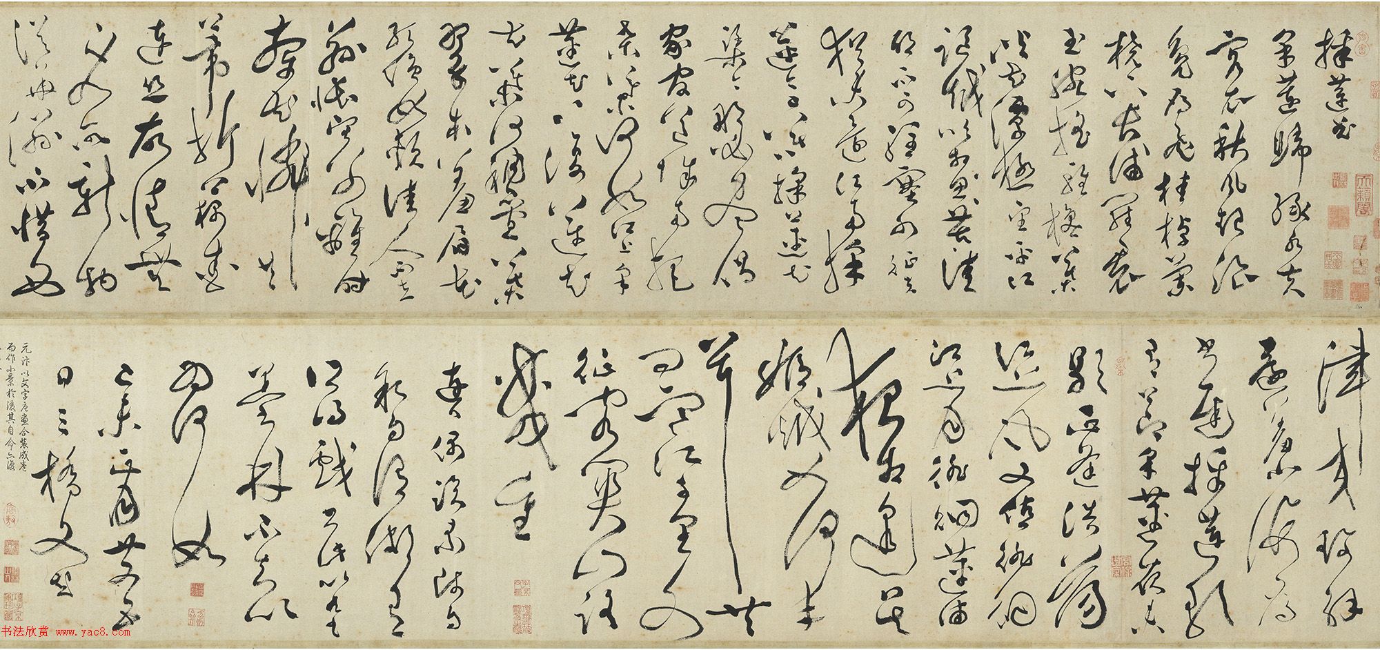 明代文彭草書《采蓮曲》