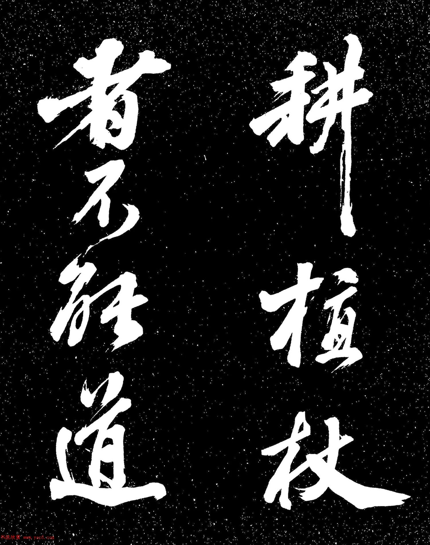 蘇東坡行書《衡門帖》（日本藏）