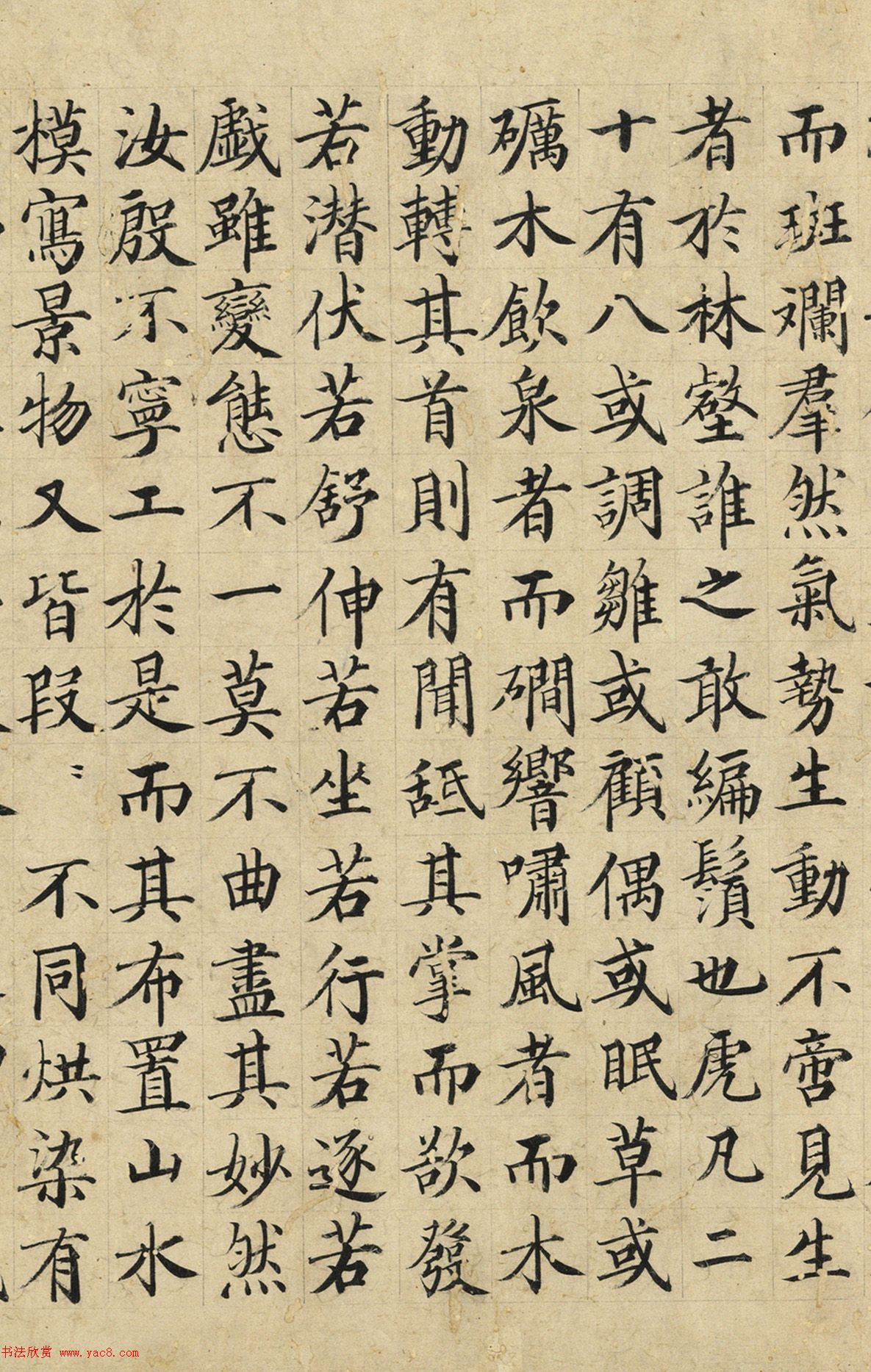 明代姚子大楷書《跋風(fēng)林群虎圖》