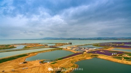 海陽湖別浩初師