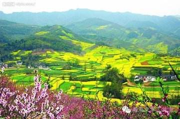 浣溪沙 折花士女圖