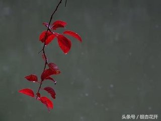 秋夜對(duì)雨