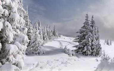 早朝賀雪寄陳山人