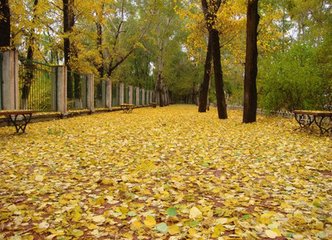 宴清都·秋感