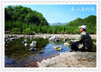 鷓鴣天 戲題村舍