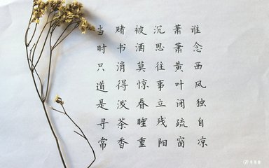 浣溪沙·誰念西風(fēng)獨(dú)自涼