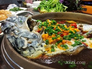 戲作鮰魚一絕