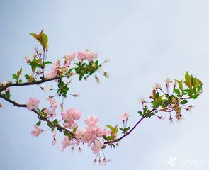 母氏立春日慶七十