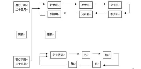 衛(wèi)氣行