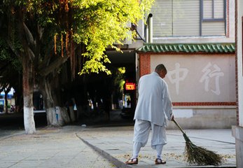 和古寺偃松