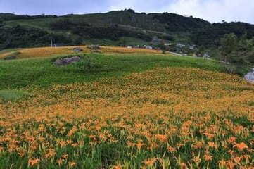 柯山圖