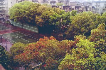 過(guò)東都別樂(lè)天二首