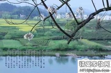 采桑子·清明上已西湖好