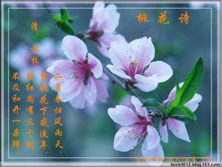 王母祝語(yǔ)·蟠桃花詩(shī)