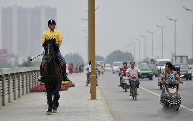 賀張十八秘書得裴司空馬（或作酬張秘書因騎馬贈詩）