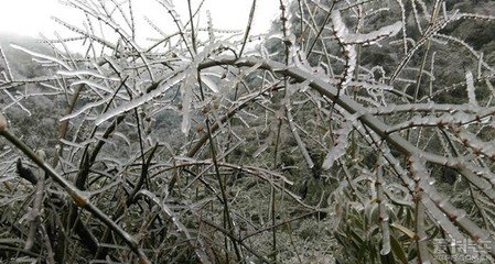 禱雪麻仙洞前立春一日湫壓縣境而雪霰已集連