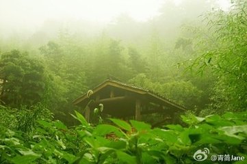 雨后堅山行之約