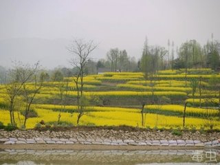 寄華山司空圖