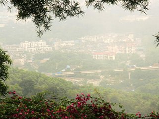 雨中遣懷