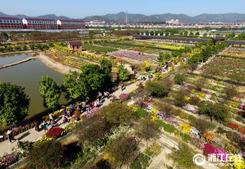 純甫以予去歲九日赴東陽(yáng)今年復(fù)趨府作菊花問(wèn)