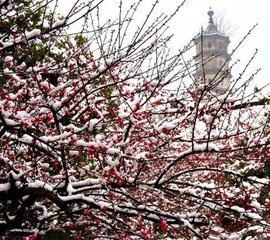 送無懷道士游富春山水