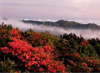 高冠谷口招鄭鄠