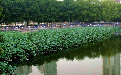 酬仆射牛相公，晉國(guó)池上別后至甘棠館,忽夢(mèng)