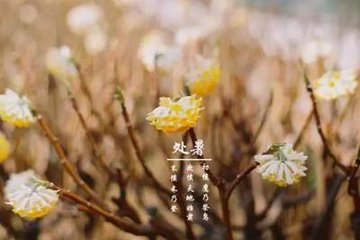 處暑后風(fēng)雨