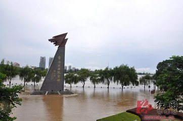 暴雨