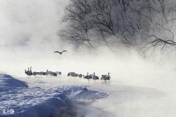 冬晚對雪憶胡居士家（一作王劭詩，非）