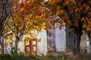 晨游昌師院