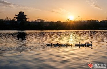 酒中留上襄陽(yáng)李相公（李逢吉也）