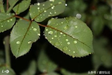 幽居春夜