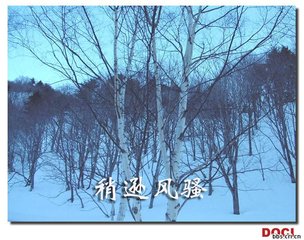 沁園春·我試評君