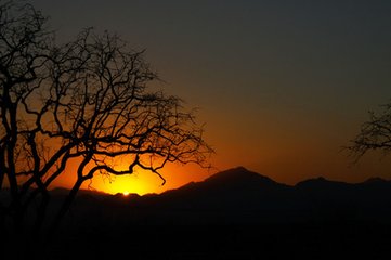 寄陳魯山