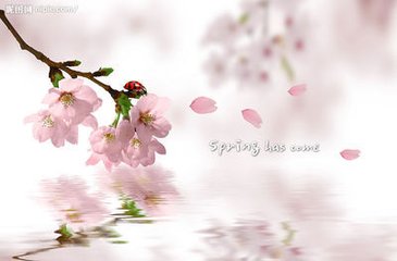 菩薩蠻（二）