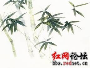 郡齋左偏栽竹百余竿，炎涼已周，青翠不改，