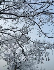 緱山月 雨夕