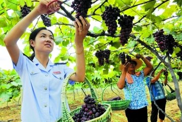 使臣俞允迪赴萍實(shí)稅官寫(xiě)平園老叟真求贊