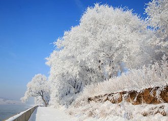 令狐相公見示題洋州崔侍郎宅雙木瓜花頃…來什輒成和章