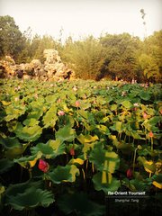 夏初臨·水榭風(fēng)臺