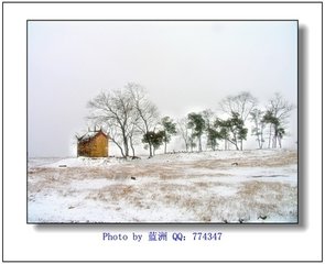 和野渡春雪