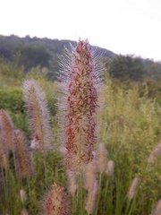 赴杭州重宿棣華驛，見楊八舊詩，感題一絕